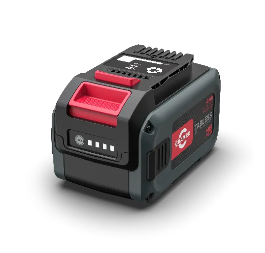 Batería 48BT170 4 Ah